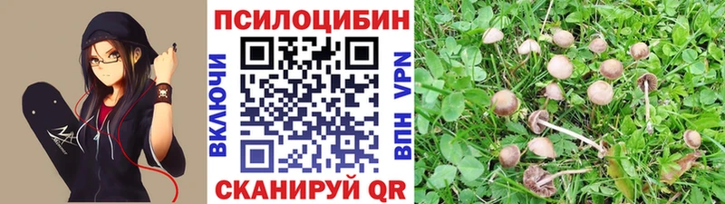 Галлюциногенные грибы прущие грибы  купить закладку  Берёзовский 
